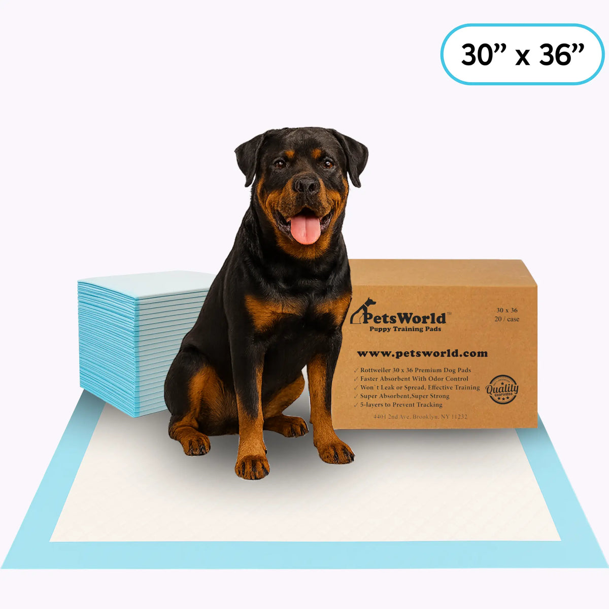 Petsworld Dog Training & Potty Pads – Extra Large, Super Absorbent, Leak-Proof (30X36 Inches)