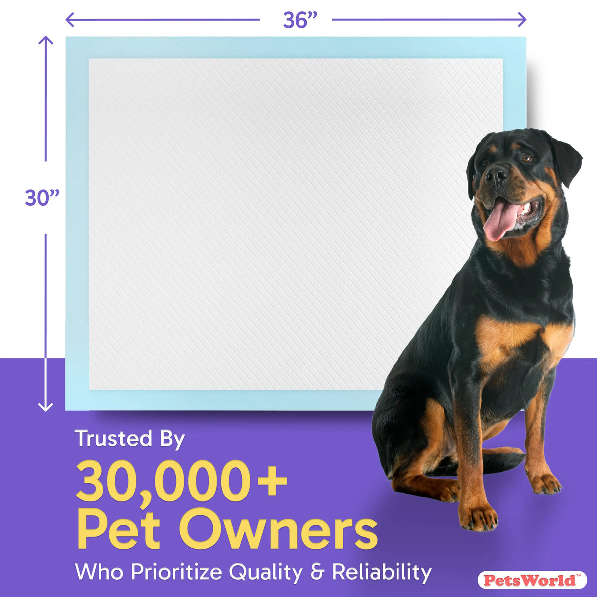 Petsworld Dog Training & Potty Pads – Extra Large, Super Absorbent, Leak-Proof (30X36 Inches)