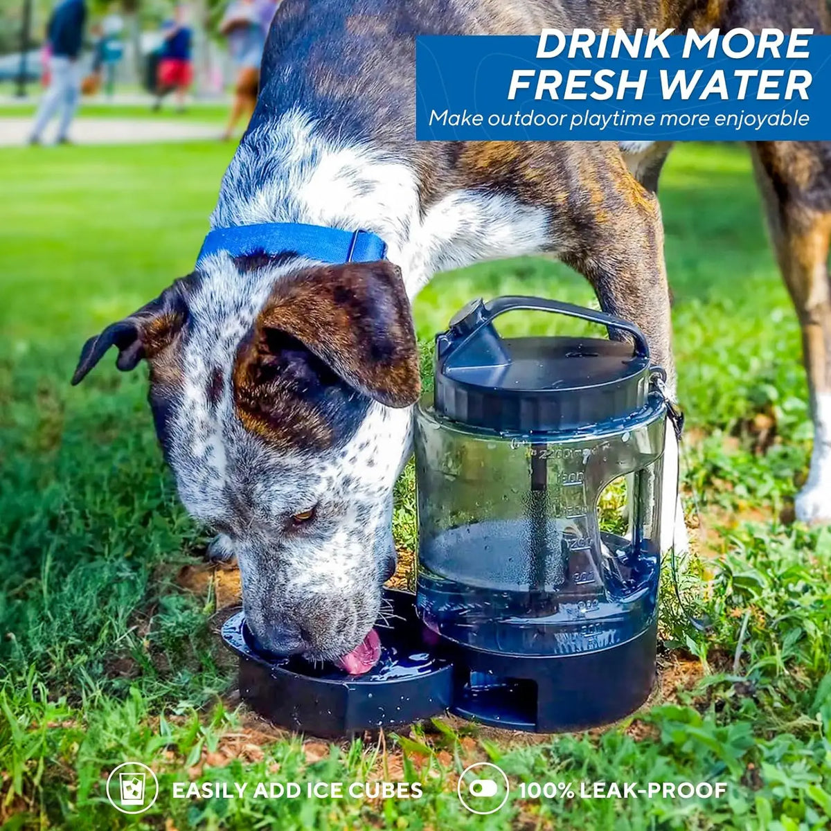 77Oz Large 2In1 Water+Bowls Dog Dispenser, Bpa-Free Black Animal Water Bowl with Campsite Hydration, Pours for Easy Sips – Hiking/Camping Pet Drinking Water Bowl