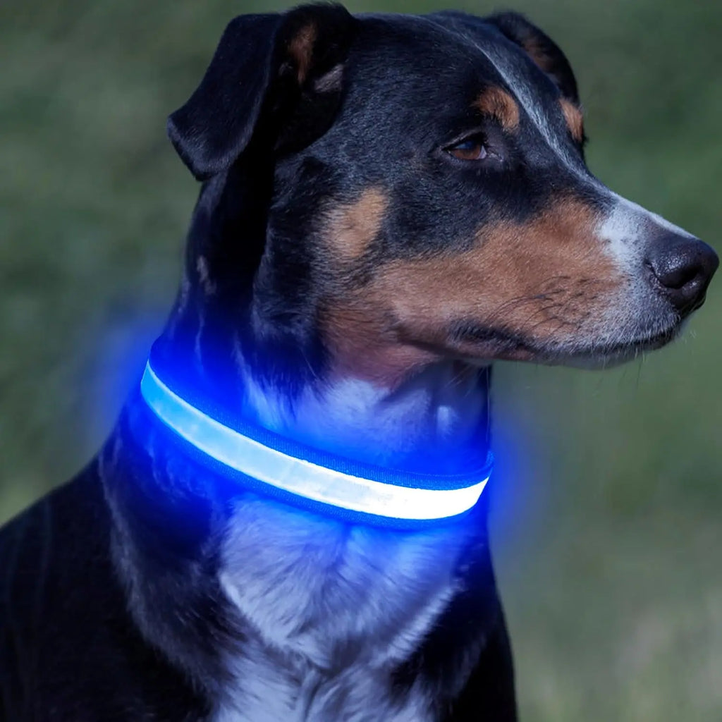 High-Visibility LED Safety Glow Dog Collar - USB Rechargeable, Adjustable Soft Mesh, Durable & Comfortable, 3 Light Modes (Quick Flash Mode Included), Camping Use, Night Visibility, 5 Sizes (XS-XL) for Small/Large Dogs, See Your Pup at Night