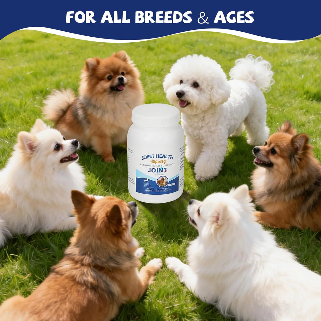HAPWAG FDA Registered Dog Joint Support Chewables - Chicken Flavor, Vet Recommended Canine Nutritional Supplement with Glucosamine, Chondroitin, Calcium, Daily Canine Wellness Mobility Aid for Hip & Bone, Muscle & Flexibility Boost, All Ages, 100 Count