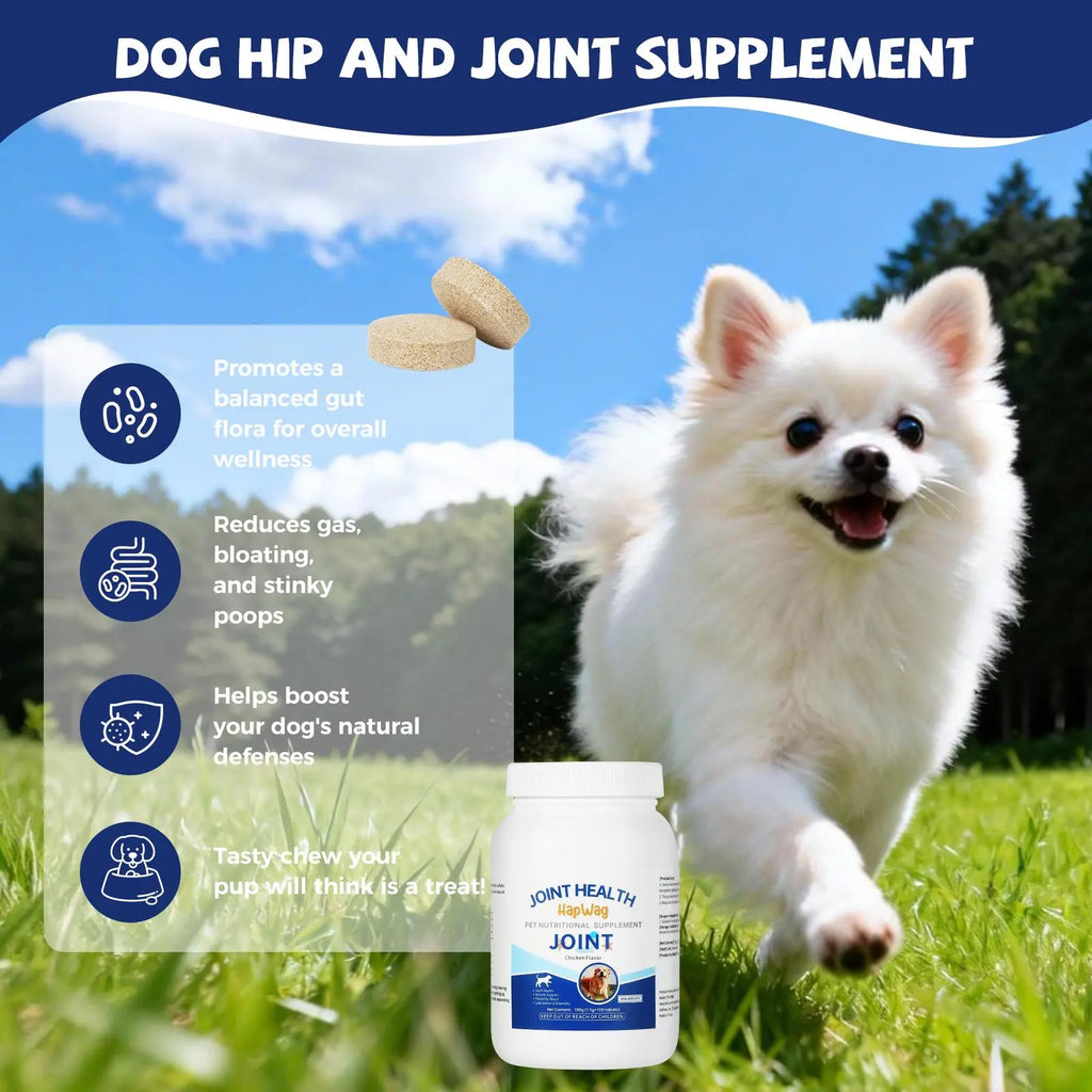 HAPWAG FDA Registered Dog Joint Support Chewables - Chicken Flavor, Vet Recommended Canine Nutritional Supplement with Glucosamine, Chondroitin, Calcium, Daily Canine Wellness Mobility Aid for Hip & Bone, Muscle & Flexibility Boost, All Ages, 100 Count