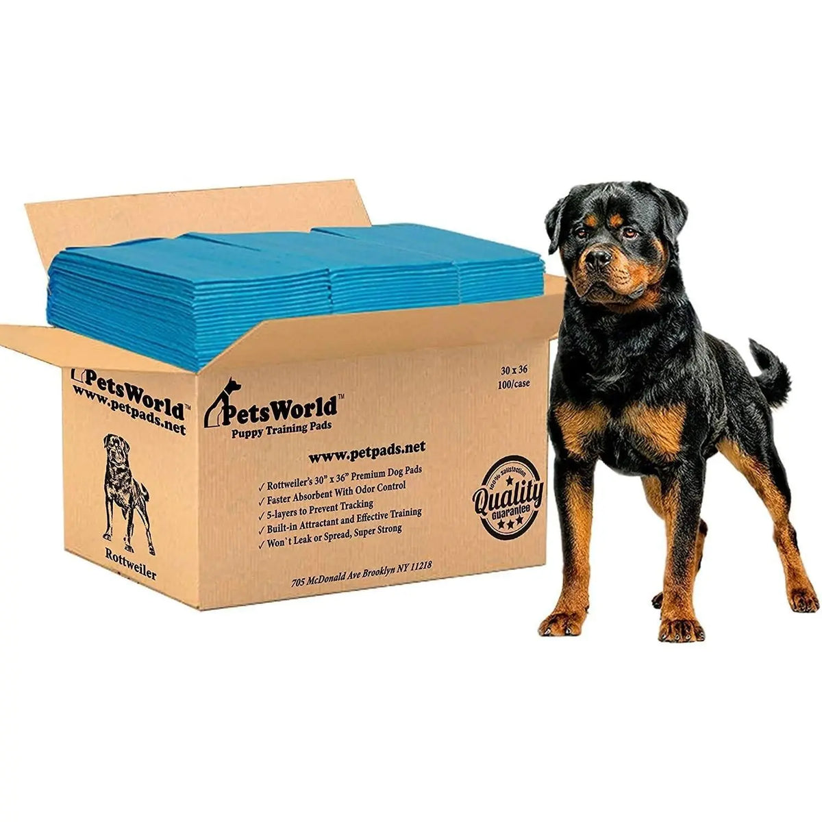 Petsworld Dog Training & Potty Pads – Extra Large, Super Absorbent, Leak-Proof (30X36 Inches)