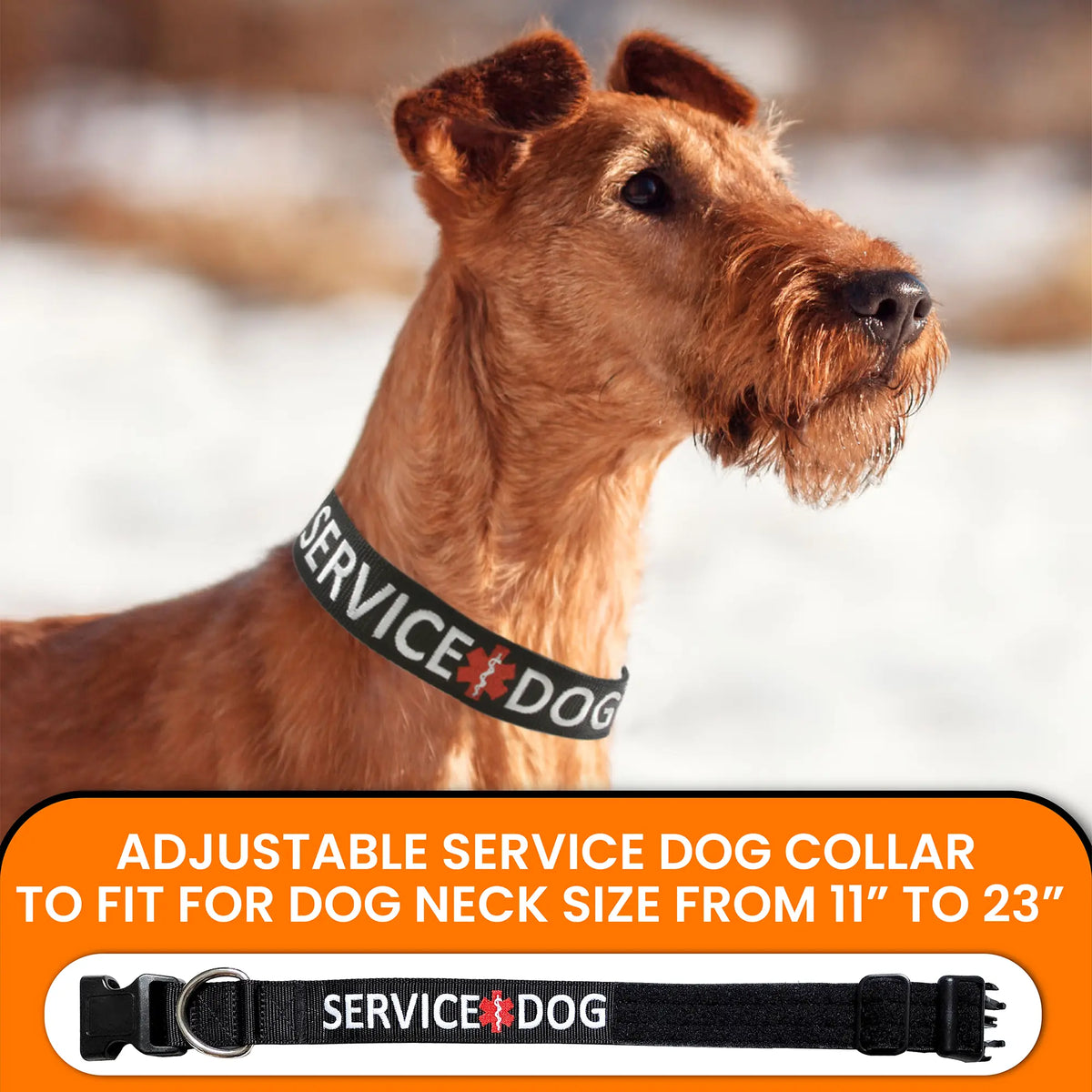 Tacticollar Adjustable Nylon Service Dog Collar with Embroidery